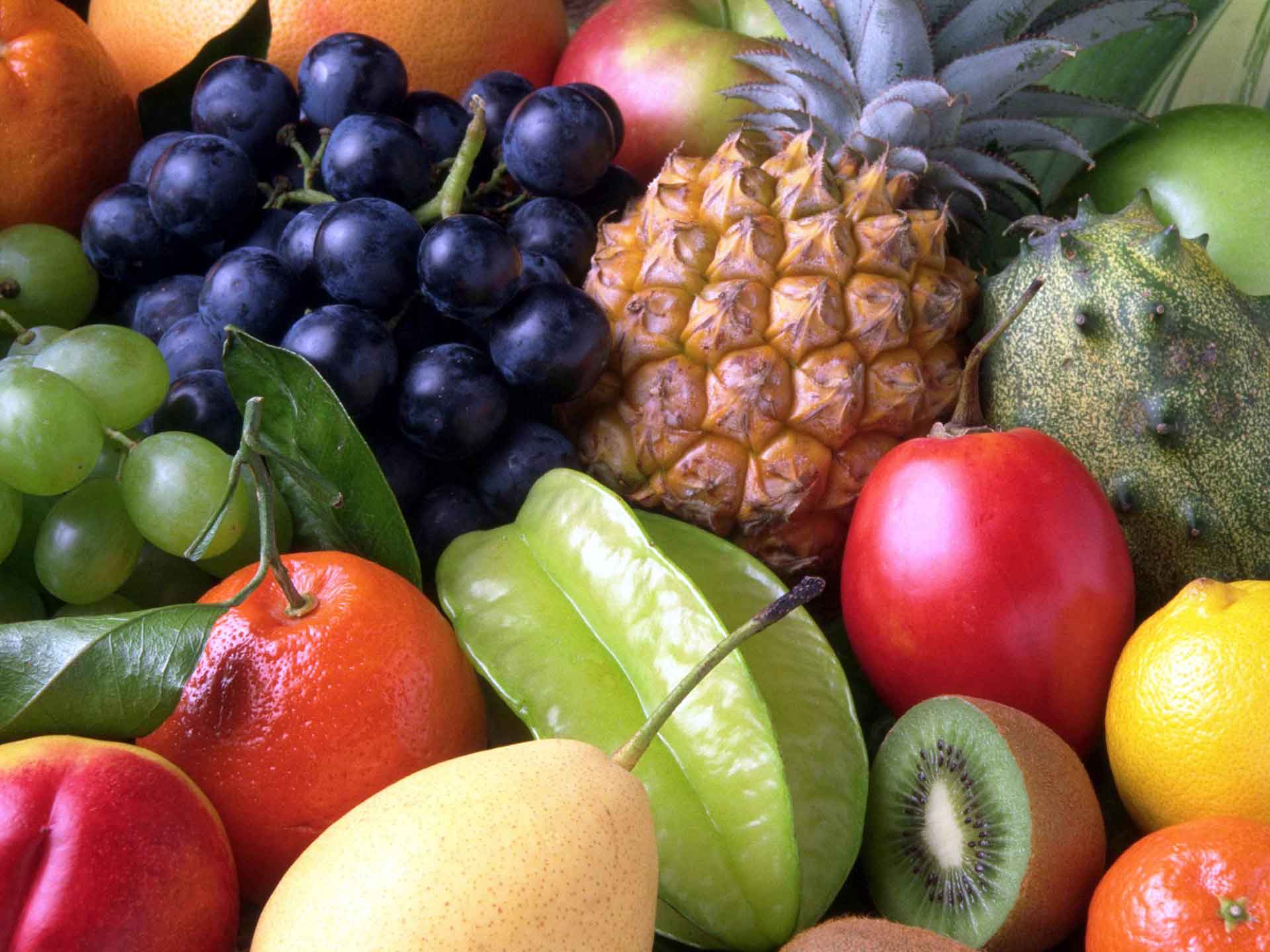 Maximisez l’apport nutritionnel à chaque bouchée