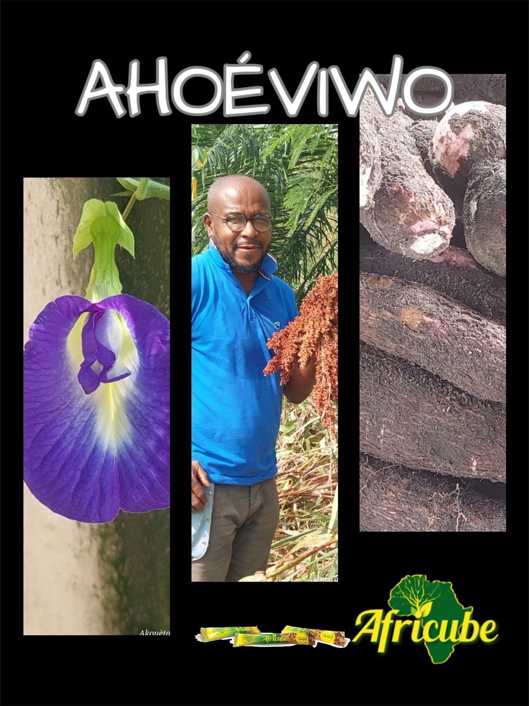 “Africube”, un bouillon de cuisine 100% naturel et africain