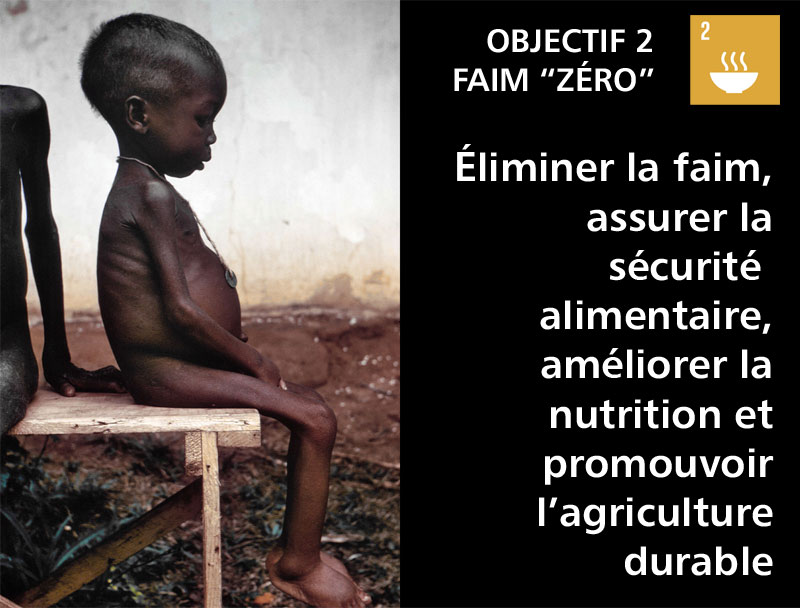 En Afrique, quelles stratégies pour atteindre « zéro faim dans le monde » ?