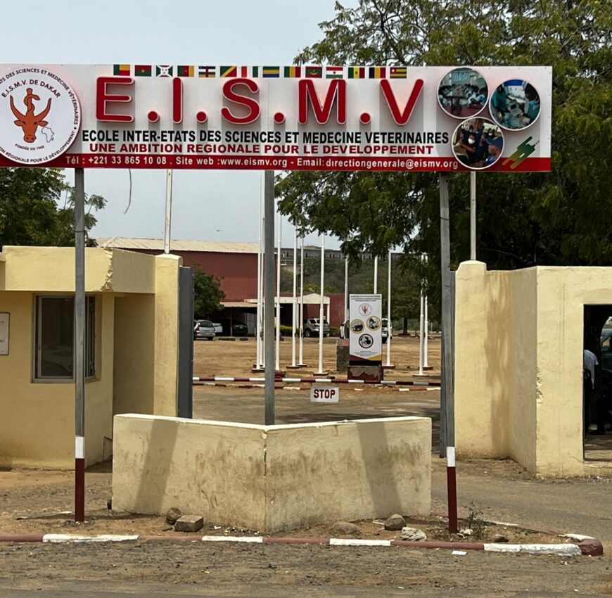 Togo-Des bourses pour les études à l’Ecole Inter-Etats des Sciences et Médecine Vétérinaires de Dakar