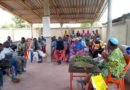 Les clés de Kodjo Eklou Aba pour le traitement et la prévention des maladies par les plantes médicinales