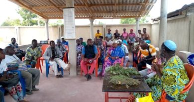 Les clés de Kodjo Eklou Aba pour le traitement et la prévention des maladies par les plantes médicinales
