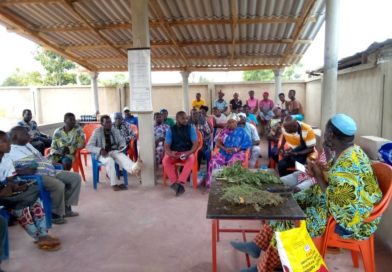 Les clés de Kodjo Eklou Aba pour le traitement et la prévention des maladies par les plantes médicinales