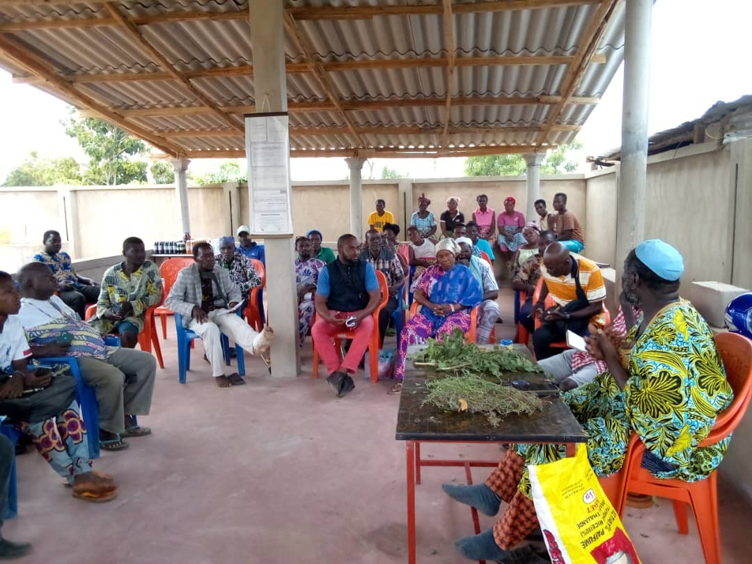 Les clés de Kodjo Eklou Aba pour le traitement et la prévention des maladies par les plantes médicinales
