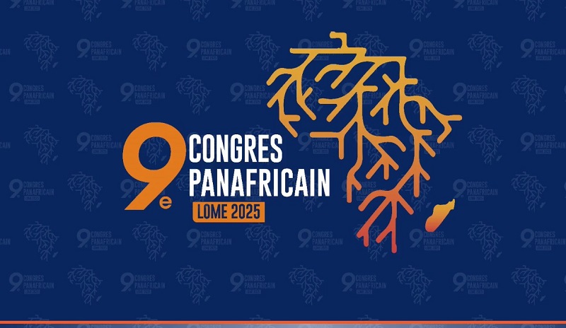 C𝐞 𝐪𝐮𝐞 𝐥𝐞 𝟗ᵉ 𝐂𝐨𝐧𝐠𝐫𝐞̀𝐬 𝐩𝐚𝐧𝐚𝐟𝐫𝐢𝐜𝐚𝐢𝐧 𝐝𝐞́𝐯𝐨𝐢𝐥𝐞 𝐝𝐞𝐬 𝐢𝐧𝐭𝐞𝐥𝐥𝐞𝐜𝐭𝐮𝐞𝐥𝐬 𝐟𝐚𝐮𝐬𝐬𝐚𝐢𝐫𝐞𝐬