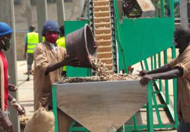Réformes sociales : le Togo mise sur la flexibilité et l’égalité au travail