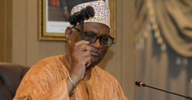 Au Togo, les réformes en ligne de mire au Sénat