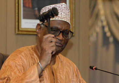 Au Togo, les réformes en ligne de mire au Sénat