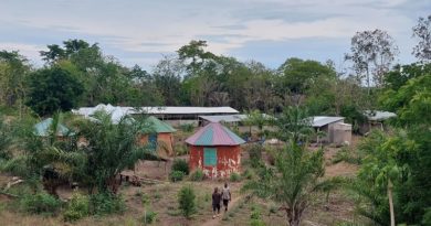 Ferme Ahoéviwo : le naturel dans vos assiettes