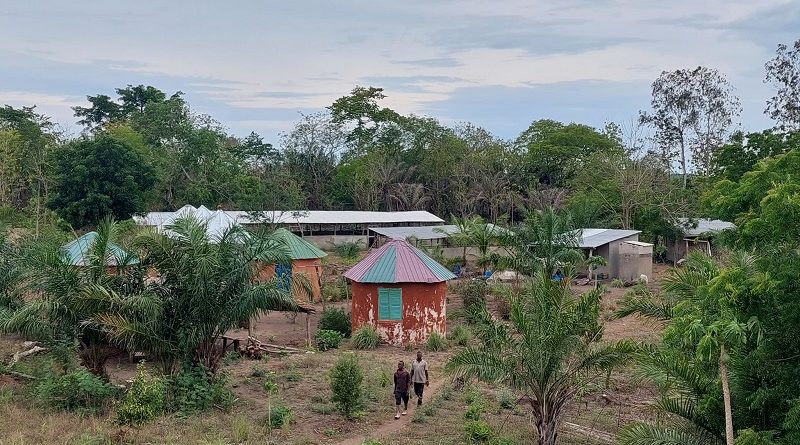 Ferme Ahoéviwo : le naturel dans vos assiettes