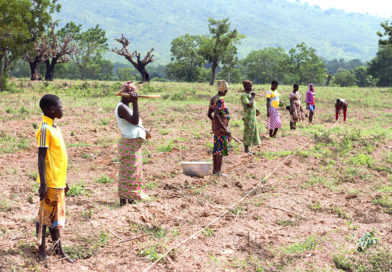 Foncier agricole : l’État togolais reprend la main