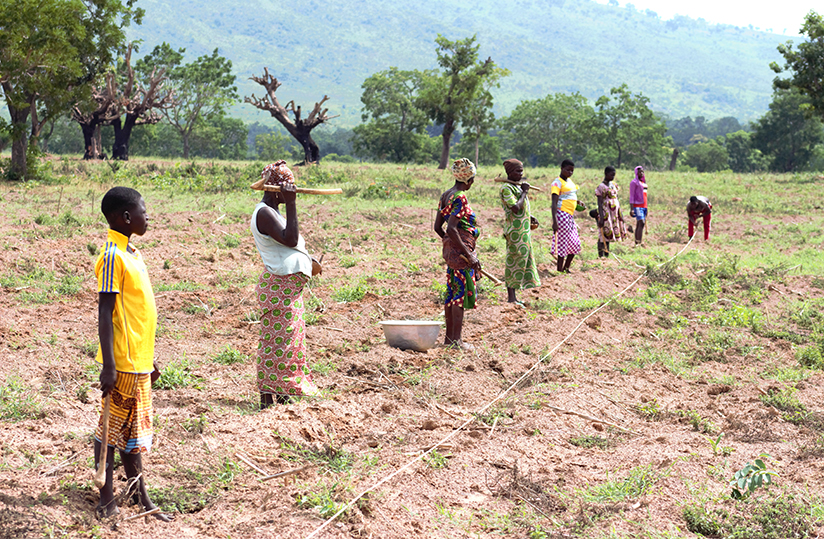 Foncier agricole : l’État togolais reprend la main