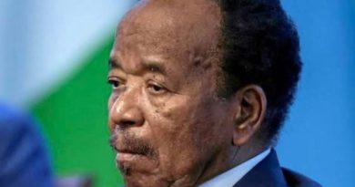 Vice-présidence au Cameroun : une réforme qui divise et inquiète