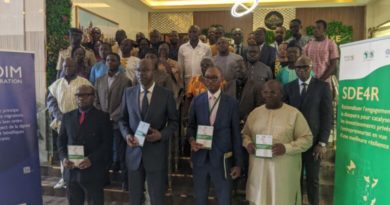 Lomé relance la dynamique de la diaspora