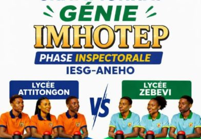 GÉNIE IMHOTEP : l’heure de la phase inspectorale