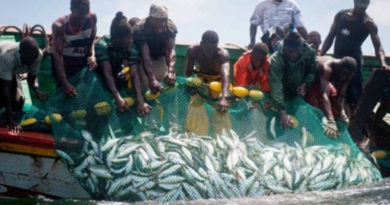 Lomé au cœur des décisions pour sauver la pêche artisanale en Afrique de l’Ouest