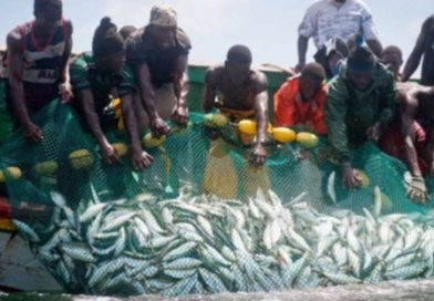 Lomé au cœur des décisions pour sauver la pêche artisanale en Afrique de l’Ouest