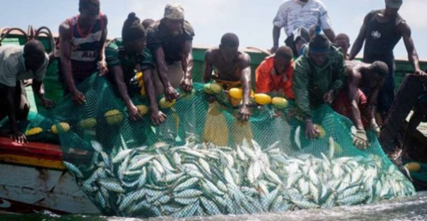 Lomé au cœur des décisions pour sauver la pêche artisanale en Afrique de l’Ouest