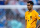Cody Gakpo frappé par un drame familial en pleine Coupe du monde