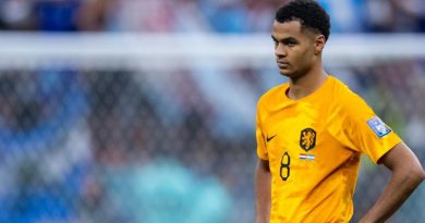 Cody Gakpo frappé par un drame familial en pleine Coupe du monde
