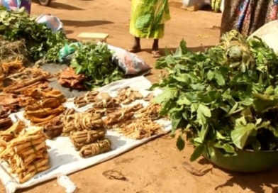Lomé consacre les gardiens des savoirs ancestraux