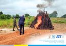 Au Togo, 1 000 armes détruites pour renforcer la lutte contre la circulation illicite