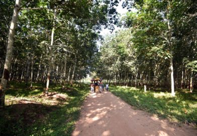 Le meurtre d’un planteur de 75 ans secoue la Côte d’Ivoire