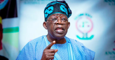 Nigeria : le faux Conseil présidentiel qui met à nu les failles du pouvoir Tinubu