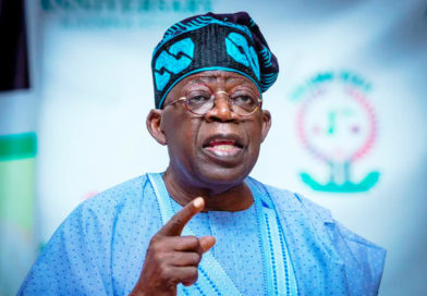 Nigeria : le faux Conseil présidentiel qui met à nu les failles du pouvoir Tinubu